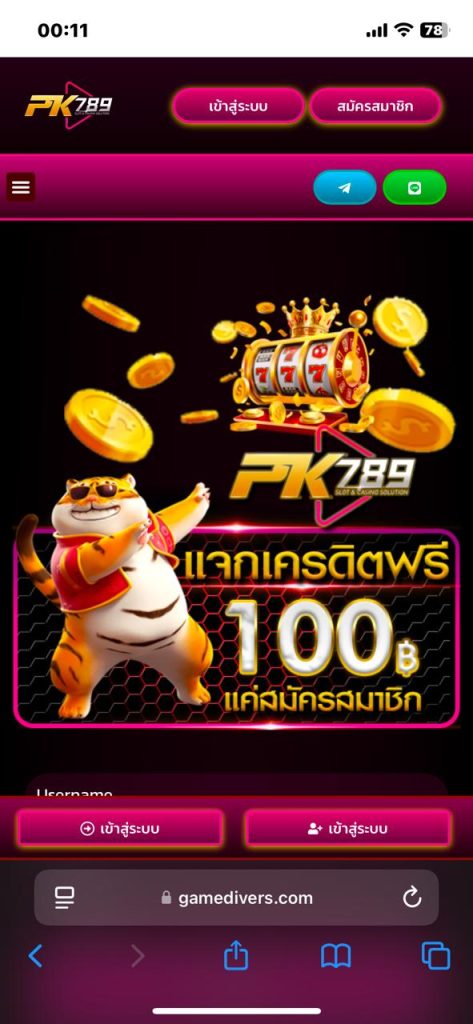 วิธีการติดตั้ง PK789